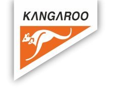Вебинар KANGAROO 23 мая 